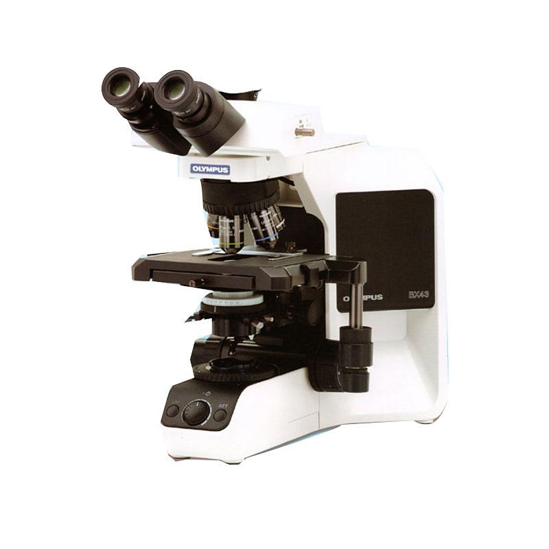 奥林巴斯 OLYMPUS 生物显微镜 Biological Microscope BX43 三目